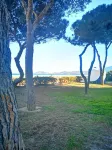Appartement Cosy Dans une Pinède à 5 Minutes à Pied de la Plage
