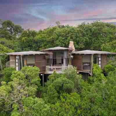 Tsala Treetop Lodge Hotel Exterior