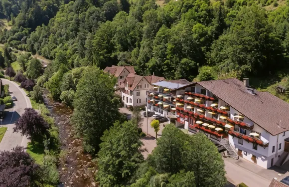 弗萊爾桑恩霍夫酒店