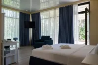 Buxus Hotel Shekvetili Hotels in 