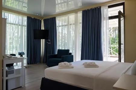 Buxus Hotel Shekvetili Отели в г. Tskaltsminda