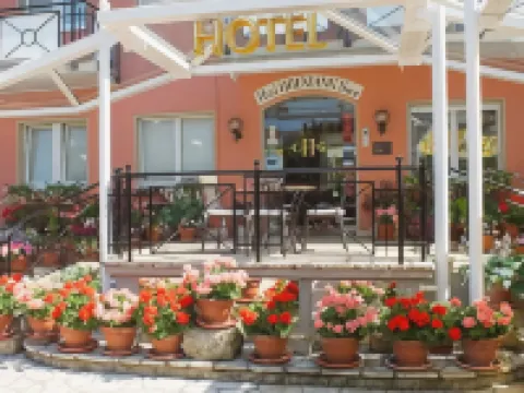 霍夫曼祖爾姆樂酒店 巴特克羅青根酒店