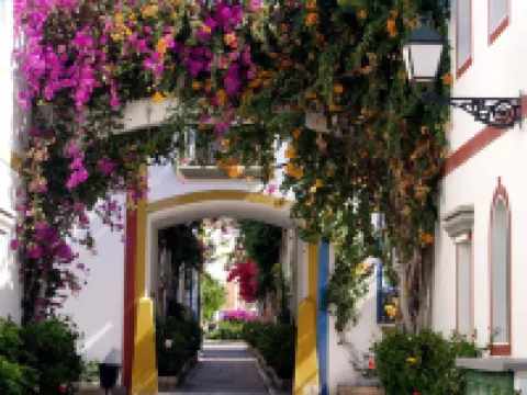 Charming 1 Bedroom Apartment in Puerto de Mogán