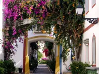 Charming 1 Bedroom Apartment in Puerto de Mogán