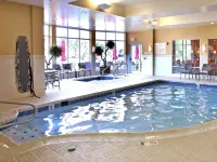 Hilton Garden Inn Cincinnati Blue Ash - Swimmingpools