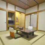 Yumura Onsen Hakuuntei Hotels in Iwami District