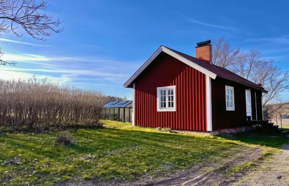 伯格斯農場和哈爾斯維肯農場