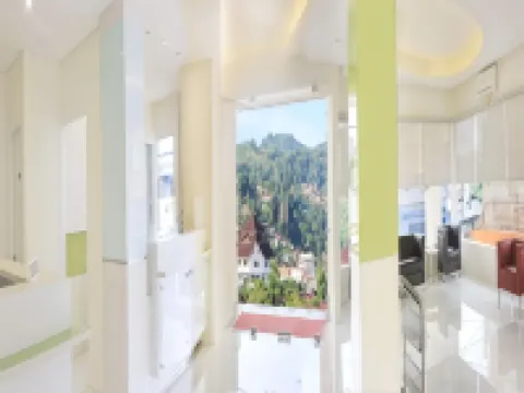 에버브라이트 암본