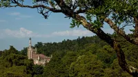 Palace Hotel do Bussaco - Romantic