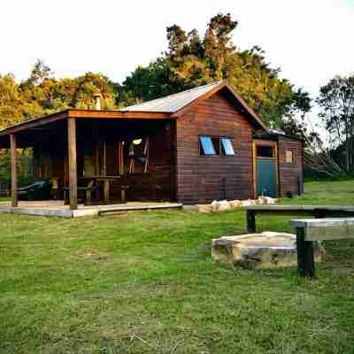 Enchanting Forest Cabin in Tsitsikamma Others