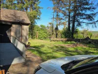 Tranquil&Beautiful surroundings,situated in the country 20mins seaside,dark sky Hotels in Girvan