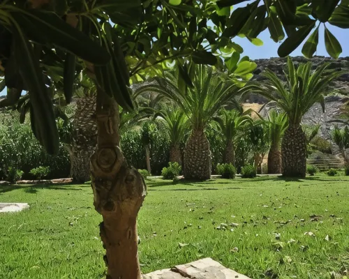 Begeti Bay Hotel Hotels in Arkadi