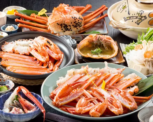 療愈旅館 Koemon 香美町住宿飯店
