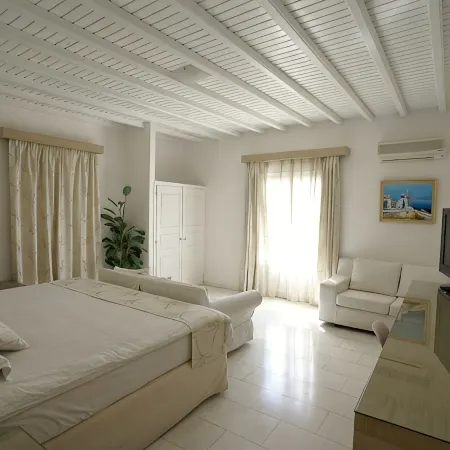 Dionysos Luxury Hotel Mykonos