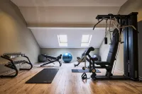Tresor Le Palais Timisoara, Curio Collection by Hilton - Gym