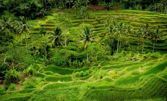 Sens Hotel  Spa + Conference Ubud Town Centre