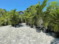 Private Tropical Oasis in Coastal Paradisew Fenced Yard. - Homestays