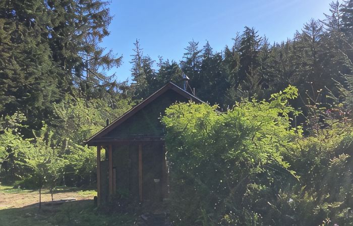 Charming 1-bedroom house surrounded by trees just outside tranquil Waldport