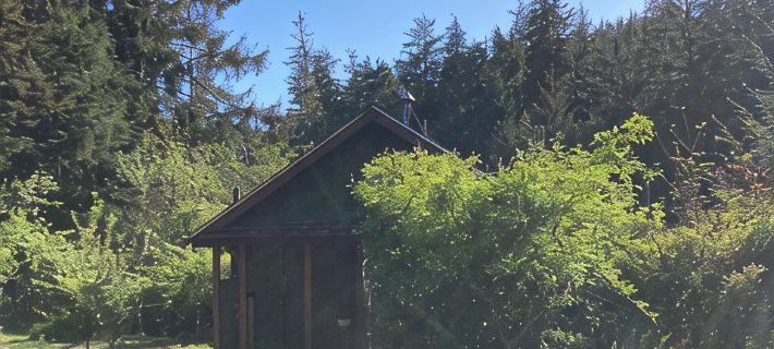 Charming 1-bedroom house surrounded by trees just outside tranquil Waldport Hotele w: Waldport