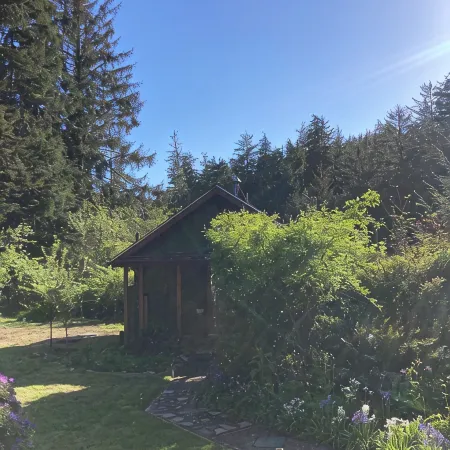 Charming 1-bedroom house surrounded by trees just outside tranquil Waldport