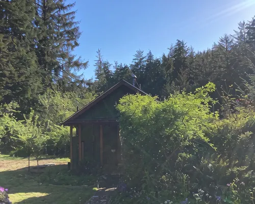 Charming 1-bedroom house surrounded by trees just outside tranquil Waldport Hotels in Waldport