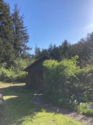 Charming 1-bedroom house surrounded by trees just outside tranquil Waldport