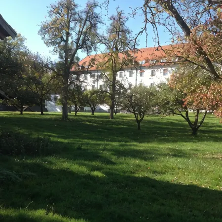 Apartment with kitchen and partly covered terrace. Central and quiet