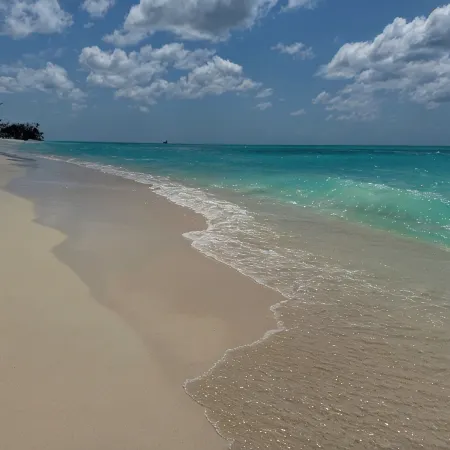 Magnificent Ocean Front Sea Palm Villa #11