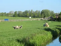 B&B depolderschuur is an independent home - Homestays