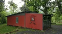 Sweet Suite 3 Minutes to  Dupont State Forest!  Take a Hike or Bring Your Bike! - Homestays