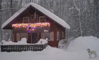Cozy creekside cabin near Big Powderhorn's Lift #1 & Recreational Trail #2!!