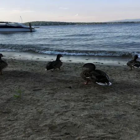 Weirs Beach - PRIME LOCATION!!!