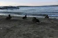 Weirs Beach - PRIME LOCATION!!! - Beach
