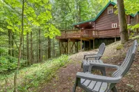 Fern Gulley Cabin with Hot Tub, Pet Friendly,  near DBBB / Hollerwood