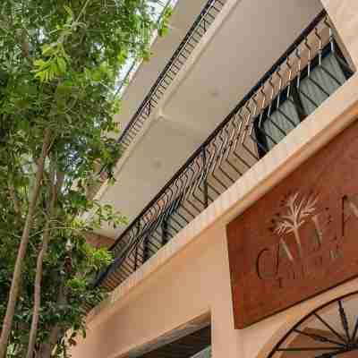 Calea Tulum Hotel Exterior