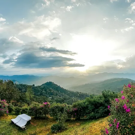 Haze and Kites Resort Munnar