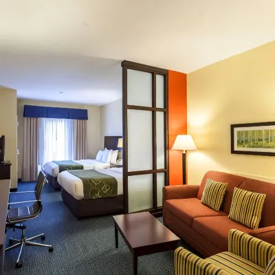 Comfort Suites East Lincoln - Mall Area Hotels near Abel Stadium