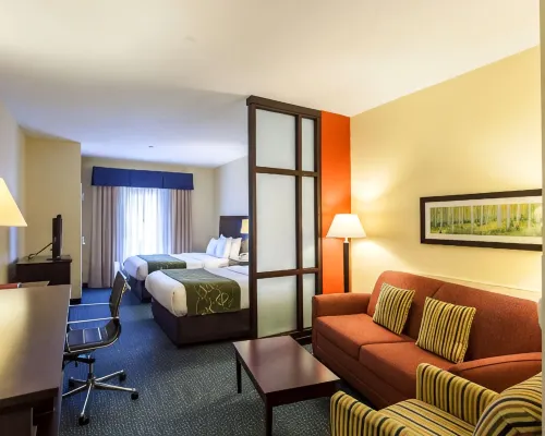 Comfort Suites East Lincoln - Mall Area Hotels near Abel Stadium