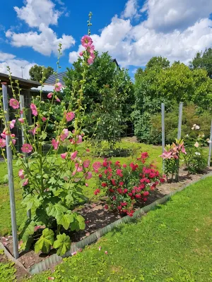 Vacation apartment 100sqm <br>Living <br>3 double beds Bedroom<br>Kitchen<br>Bathroom - Homestays