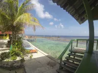 Reef House Resort - Pool