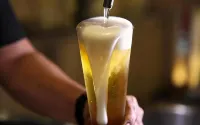 Sakura Park Hotel & Residence - bar
