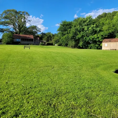 Mayberry Lakeshore Cottage at Lake Palestine