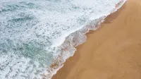 Blue Nest at the Beach - Beach