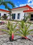 VIDA Chelem- MAR vacation property - Pools