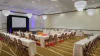 Hilton Garden Inn San Antonio/Live Oak - WiFi
