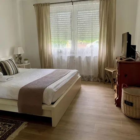Luxury Apartment new & stylish