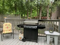 Lake Placid Village Cottage in Summer! - 4-Star