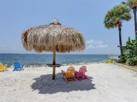 Tiki Themed Condo on Tampa Bay - pantai