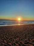 A quiet retreat and perfect for your getaway to the Outer Banks! - Homestays