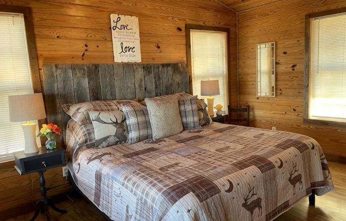 The Overlook Cabin: Breath-taking Views & King Bed